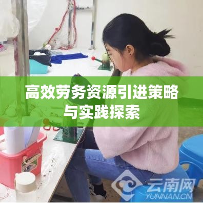 高效勞務(wù)資源引進(jìn)策略與實踐探索