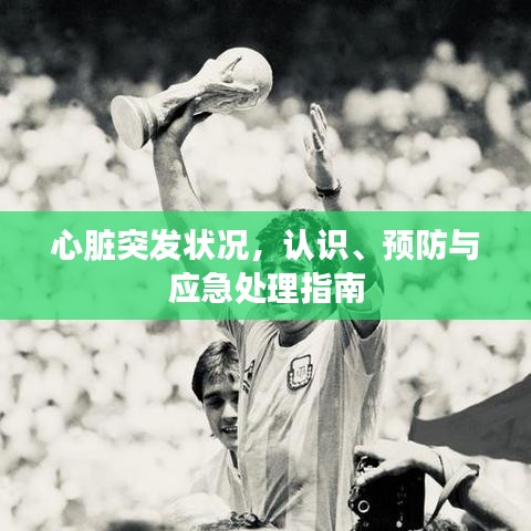 心臟突發(fā)狀況，認(rèn)識(shí)、預(yù)防與應(yīng)急處理指南