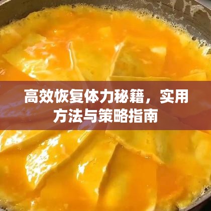 高效恢復體力秘籍，實用方法與策略指南