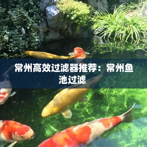 第1607頁