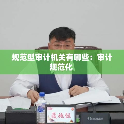 規(guī)范型審計(jì)機(jī)關(guān)有哪些：審計(jì)規(guī)范化 