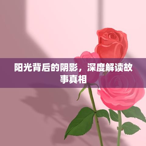 陽光背后的陰影，深度解讀故事真相