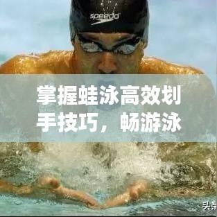 掌握蛙泳高效劃手技巧，暢游泳池?zé)o界限