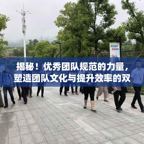 揭秘！優(yōu)秀團(tuán)隊(duì)規(guī)范的力量，塑造團(tuán)隊(duì)文化與提升效率的雙重秘訣