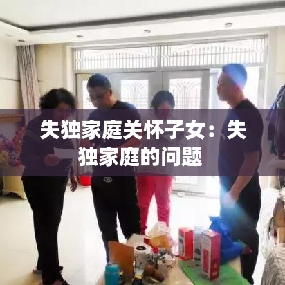 失獨家庭關(guān)懷子女：失獨家庭的問題 