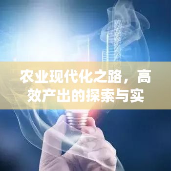 農(nóng)業(yè)現(xiàn)代化之路，高效產(chǎn)出的探索與實(shí)踐