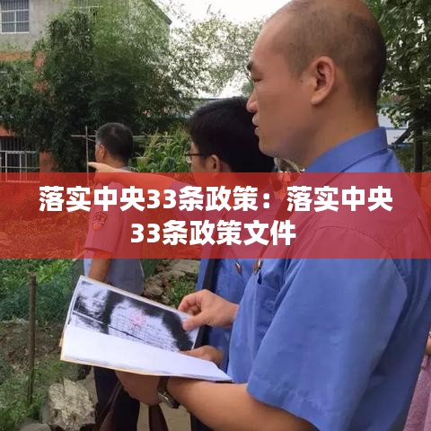 落實(shí)中央33條政策：落實(shí)中央33條政策文件 