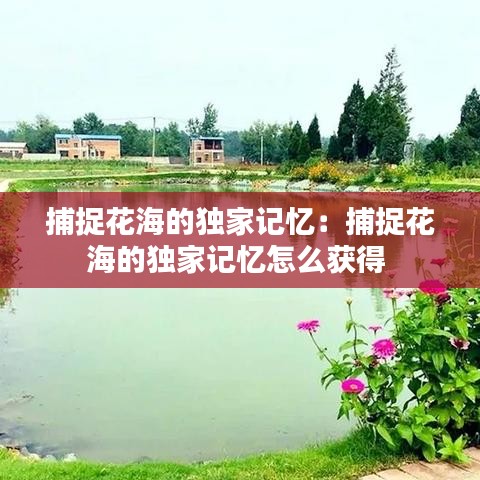 捕捉花海的獨(dú)家記憶：捕捉花海的獨(dú)家記憶怎么獲得 