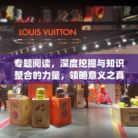 專題閱讀，深度挖掘與知識(shí)整合的力量，領(lǐng)略意義之真諦