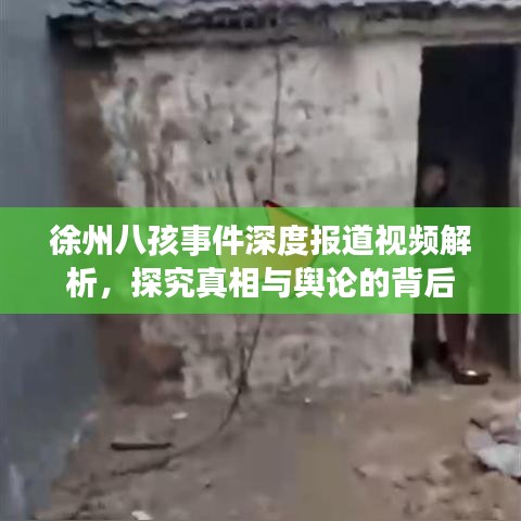 徐州八孩事件深度報(bào)道視頻解析，探究真相與輿論的背后