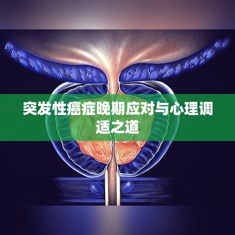 突發(fā)性癌癥晚期應對與心理調(diào)適之道