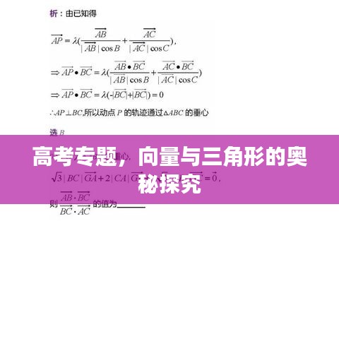 高考專題，向量與三角形的奧秘探究