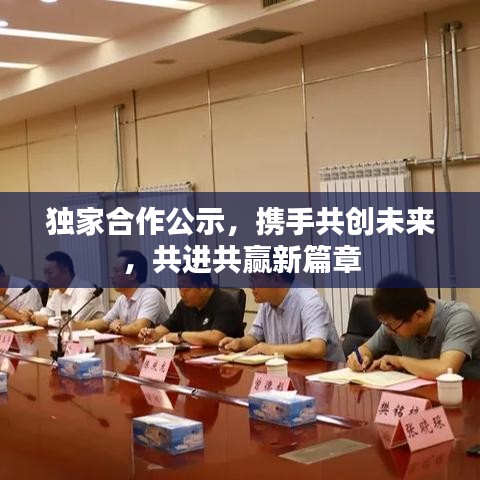 獨(dú)家合作公示，攜手共創(chuàng)未來(lái)，共進(jìn)共贏新篇章