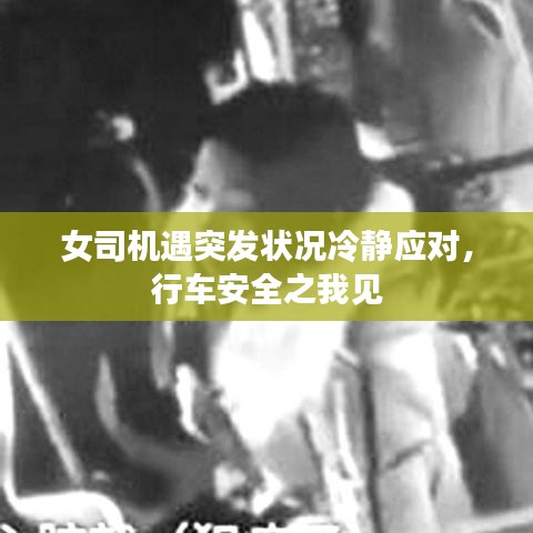 女司機(jī)遇突發(fā)狀況冷靜應(yīng)對(duì)，行車安全之我見(jiàn)