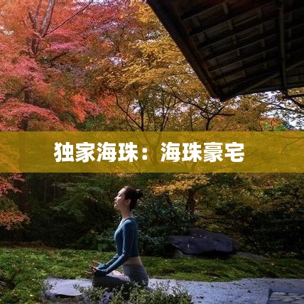 獨家海珠：海珠豪宅 