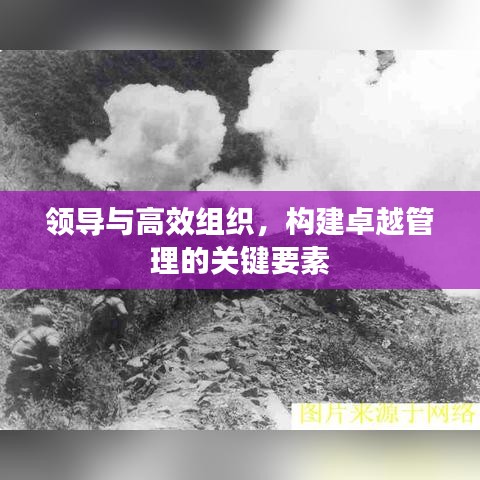 領導與高效組織，構建卓越管理的關鍵要素