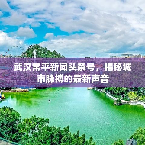 武漢常平新聞?lì)^條號，揭秘城市脈搏的最新聲音