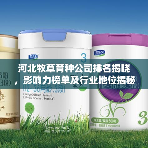 河北牧草育種公司排名揭曉，影響力榜單及行業(yè)地位揭秘