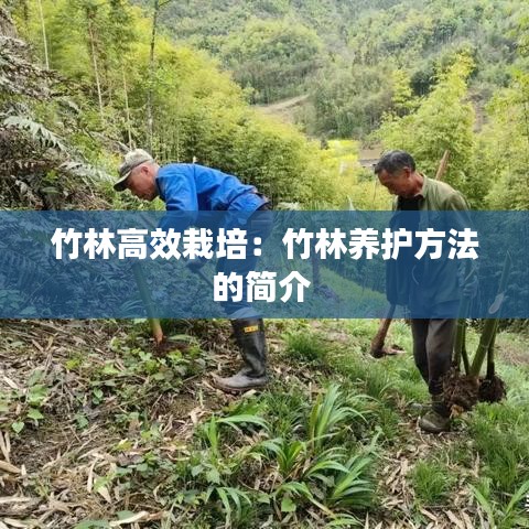 竹林高效栽培：竹林養(yǎng)護方法的簡介 