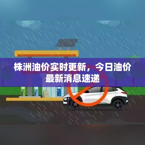株洲油價實時更新，今日油價最新消息速遞