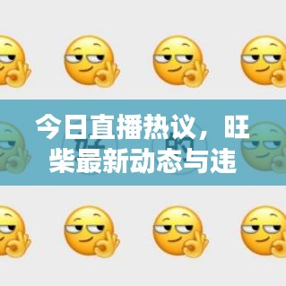 今日直播熱議，旺柴最新動態(tài)與違法犯罪問題探討深度解析