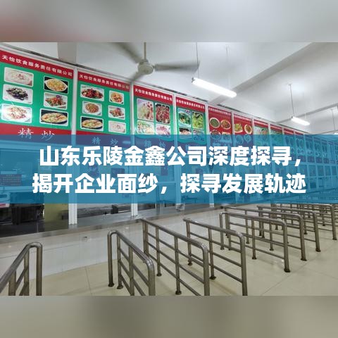 山東樂陵金鑫公司深度探尋，揭開企業(yè)面紗，探尋發(fā)展軌跡
