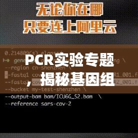 PCR實驗專題，揭秘基因組奧秘探索之旅