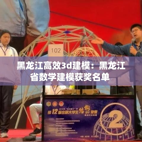 黑龍江高效3d建模：黑龍江省數(shù)學(xué)建模獲獎名單 
