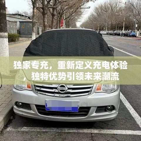 獨(dú)家專充，重新定義充電體驗(yàn)，獨(dú)特優(yōu)勢(shì)引領(lǐng)未來(lái)潮流