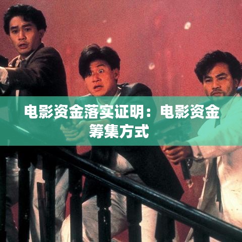 電影資金落實證明：電影資金籌集方式 