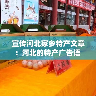 新聞中心 第119頁