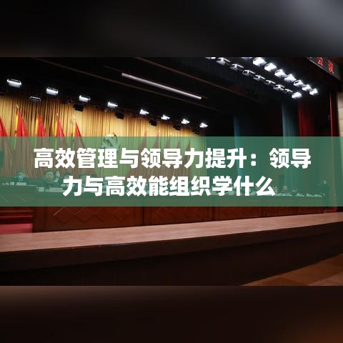 高效管理與領(lǐng)導(dǎo)力提升：領(lǐng)導(dǎo)力與高效能組織學(xué)什么 