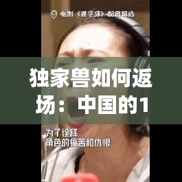 獨家獸如何返場：中國的110+獨家獸公司都是干嘛的 