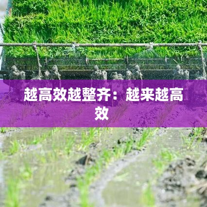 越高效越整齊：越來越高效 