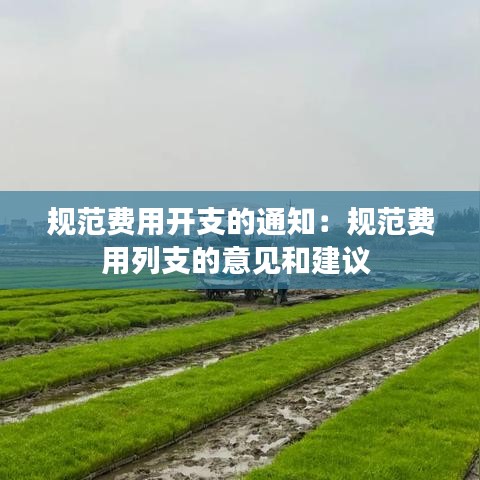 規(guī)范費(fèi)用開支的通知：規(guī)范費(fèi)用列支的意見和建議 