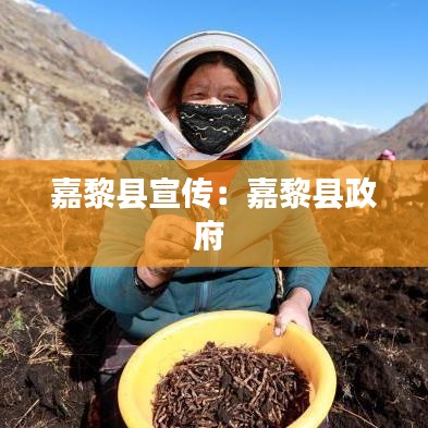 嘉黎縣宣傳：嘉黎縣政府 