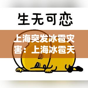 精益求精 第4頁