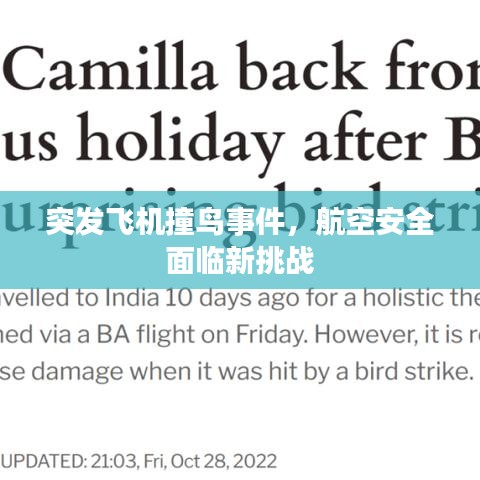 突發(fā)飛機撞鳥事件，航空安全面臨新挑戰(zhàn)