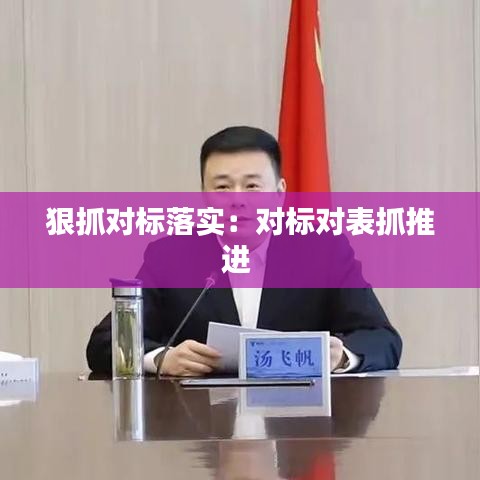 狠抓對標(biāo)落實(shí)：對標(biāo)對表抓推進(jìn) 