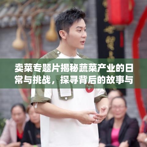 賣菜專題片揭秘蔬菜產業(yè)的日常與挑戰(zhàn)，探尋背后的故事與挑戰(zhàn)