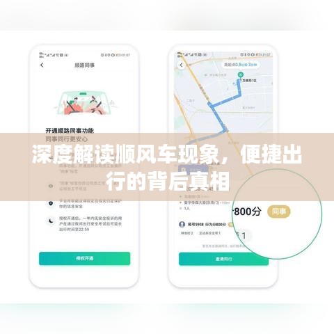 深度解讀順風(fēng)車(chē)現(xiàn)象，便捷出行的背后真相