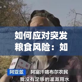 如何應(yīng)對突發(fā)糧食風(fēng)險：如何應(yīng)對糧食短缺 