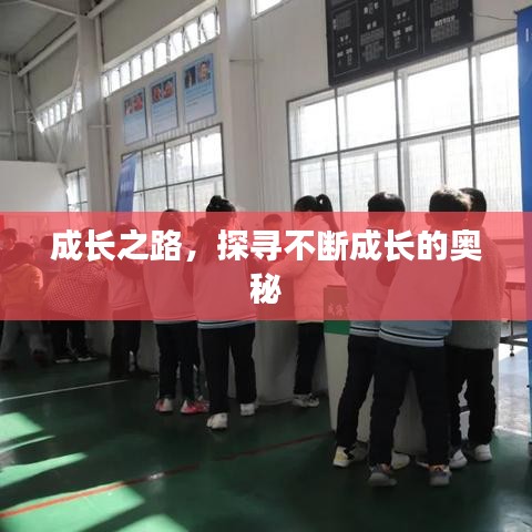 成長(zhǎng)之路，探尋不斷成長(zhǎng)的奧秘