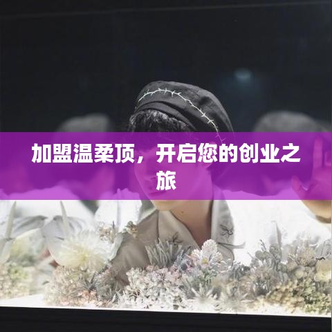 加盟溫柔頂，創(chuàng)業(yè)啟程啟航