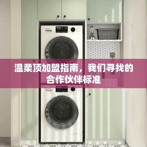 溫柔頂加盟手冊，合作伙伴招募標準詳解