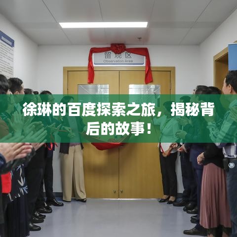 徐琳的百度探索之旅，揭秘背后的故事！