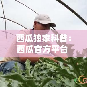 西瓜獨(dú)家科普：西瓜官方平臺(tái) 