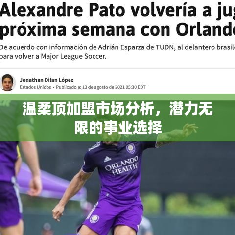 溫柔頂加盟市場深度解析，事業(yè)潛力無限選擇