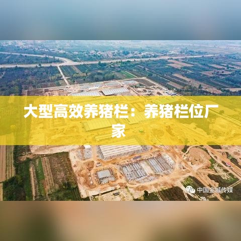 大型高效養(yǎng)豬欄：養(yǎng)豬欄位廠家 