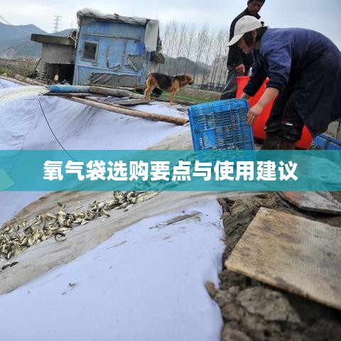 氧氣袋選購指南，要點解析與使用建議